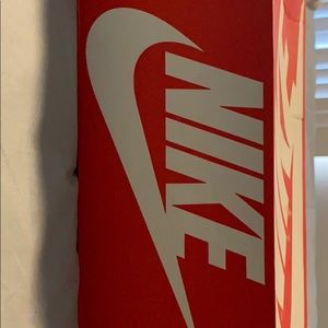 Nike women’s dunk high skinny